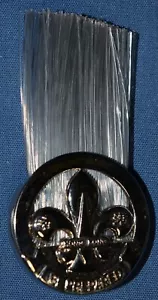 PENACHO/CUCARDA SCOUTS DE HONG-KONG, PLUMA GRIS # 306 - Imagen 1 de 1