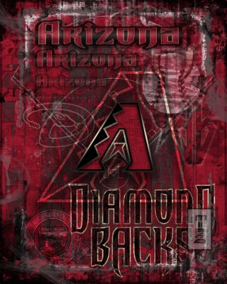 Arizona Diamondback’s 16x20inch Poster Arizona D-Backs Baseball Free Shipping Us - Image 1 of 4