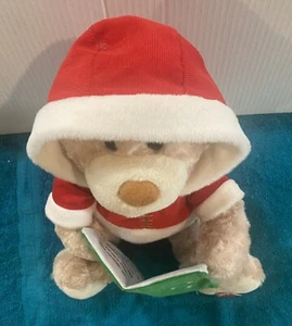 Sound N Light 10" Animated Bear Recites "Twas The Night Before Christmas"  VIDEO - Picture 1 of 6