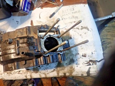 Carcasas/carcasas centrales para motor/motor izquierdo/derecho Suzuki ALT 125 Foto 1 de 4