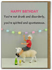 Funny Dolls Birthday Card Drunk And Disorderly Amusing Comedy Humour Cheeky