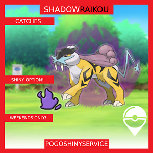 Pokemon Go - Shadow Raikou Catches - Shiny Option