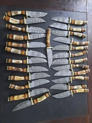 Lot of 30, 8 Inches Handmade Damascus Steel Skinner Knives In Stag Horn W/Sheath - Image 1 of 4