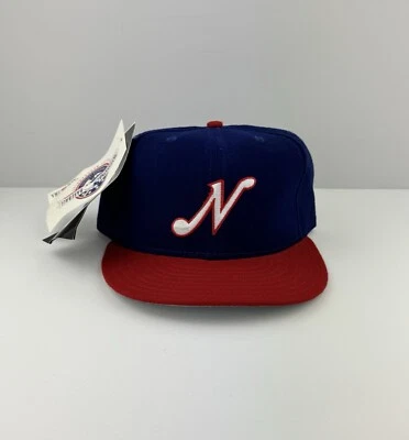 NUEVO CON ETIQUETAS Nashville Sounds De Colección NUEVA ERA Modelo Pro Gorra/Sombrero MiLB Equipado 7 1/2 Hecho en EE. UU. Foto 1 de 4