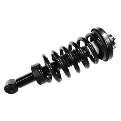 For Ford Expedition 03-06 Rear Driver or Passenger Side Complete Strut Assembly Foto 1 de 2