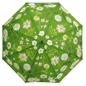 Rosehip Designs Auto Open & Close Folding Umbrella - Heavenly Green - Picture 1 of 6