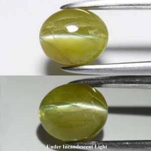 ๐ 1.30ct 6x5mm Oval Cabochon Natural Green Cat's Eye Chrysoberyl - Africa Gem - Picture 1 of 6