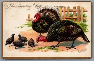 Postcard Thanksgiving c1909 Tucks AS R.J. Wealthy Embossed Turkeys With Chicks - Bild 1 von 2