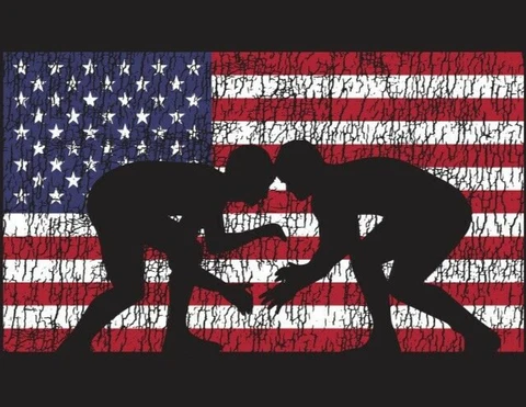 American USA Wrestler Flag Vinyl Sticker 4" x 2.5"    LOT OF 10 Cover
