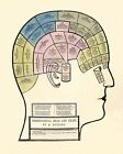 1857 Phrenology Nutting Head Chart Poster Medical Print - 16x20