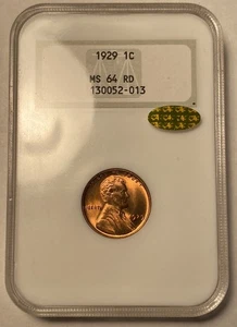 1929 P Lincoln Wheat Cent NGC MS64RD GOLD CAC STICKER Old Fatty Holder - Picture 1 of 4