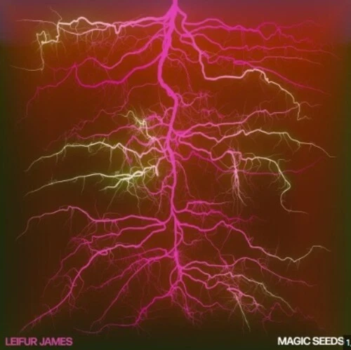 Leifur James - Magic Seeds [Used Very Good Vinyl LP] - Image 1 of 1