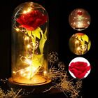 ewig Rose im Glas: LED Glhende Blume in Echtglas-Kuppel Jahrestag Geschenk DHL