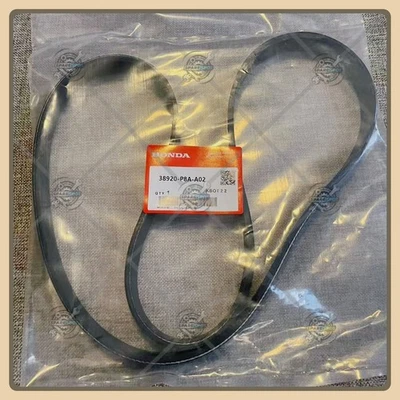NUEVO Juego de correas de transmisión # 38920-P8A-A01 para Honda Accord 1998-2002 2,3 L Foto 1 de 4