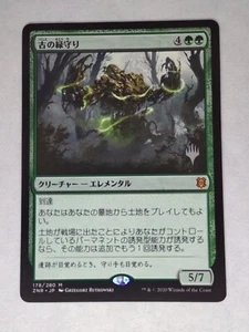 MTG Ancient Greenwarden Japanese NON-FOIL PROMO - ZNR - - Picture 1 of 1