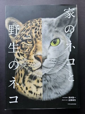 Seiichi Sawai & Yuo Kondo - House Cats and Wild Cats of the World - Photo Book - Image 1 of 4