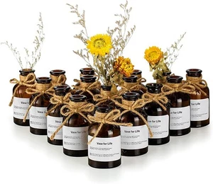 Glass Flower Bud Vases Amber: 16 Pcs 4.2Oz Boho Small Vases Tiny Apothecary - Picture 1 of 7