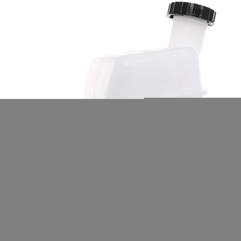 Cilindro maestro de freno para Chrysler PT Cruiser 2005-2010 2006 2007 2008 Raybestos Foto 1 de 3