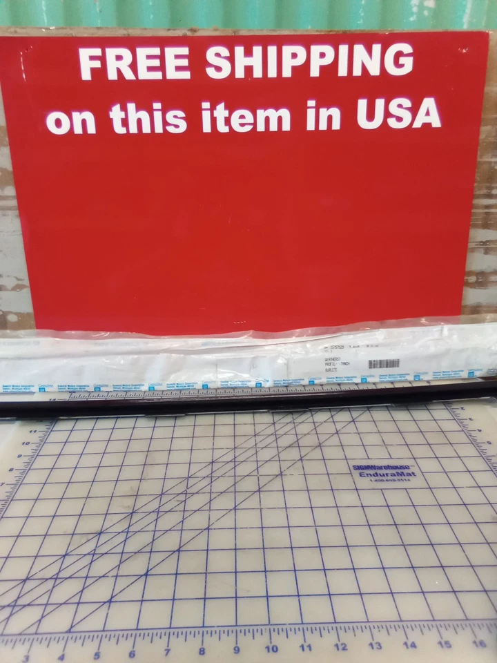 GM 15757529 Conjunto de tira climática ventana puerta lateral delantera, nuevo stock antiguo, gratis... Foto 1 de 4