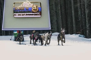 Prendedor/solapa de sombrero coleccionable vintage 1990 Alaska Iditarod 18 trineo de perros carrera - Imagen 1 de 6