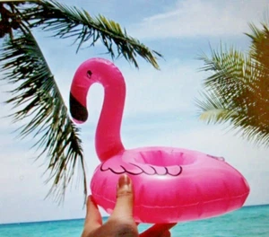 Inflatable PINK FLAMINGO Pool Drink Cup Holder Float, Soap Holder for Tub Too! - Picture 1 of 4