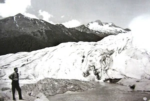  Juneau Alaska Mendenhall Glacier Photo Global Warming RPPC Postcard 1940-50s - Picture 1 of 3