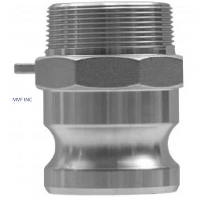 2" Type F Camlock Male Adapter x Male NPT 304 S/S Hose Fitting F200SS304 - Image 1 of 4