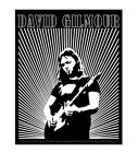 David Gilmour Pink Floyd Sticker G002S
