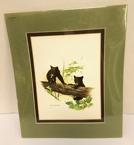 Impresión artística mate vintage de cachorros de oso negro de Glen Loates 10x12 mg Loates Nature - Imagen 1 de 3