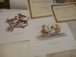 2 impresiones artísticas bolsa de coten Birds Ducks Signed & Numbered LmtEd. Excelente estado - Imagen 1 de 7