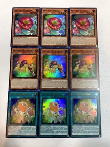 yugioh naturia camellia naturia segen naturia maulwurf grille mp23 super S060 - Bild 1 von 1