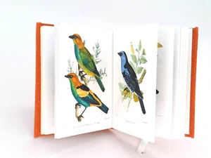 Casa delle Bambole Scala 1:12 Libro in Miniatura, Una Monografia Tanagrine Genere Calliste 1857 - Foto 1 di 13