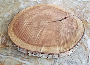17" dia Bark Edge Oval Slab Cookie of Pine Tree Craft Wood Slice Rustic Decor - Picture 1 of 5