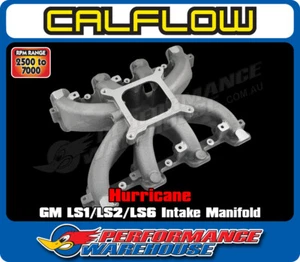 Hurricane GM LS1/LS2/LS6 Single-Plane Intake Manifold, Cathedral Port - Bild 1 von 6
