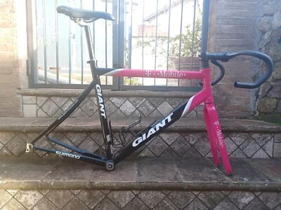 Giant Team T-Mobile rider Jan Ullrich Shimano Frame And Fork - Image 1 of 4