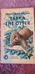 Tarka The Otter - Picture 1 of 4