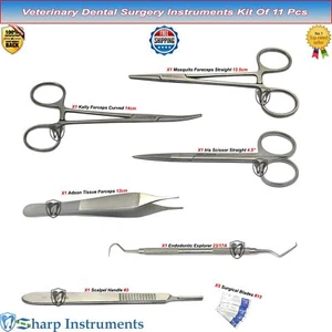Veterinary Dental Surgery Instruments Kit Mosquito Forceps Explorer Scissor Set - Bild 1 von 12