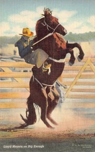 Postal: Cowboy Lloyd Meyers on Big Enough, lino, sin publicar - Imagen 1 de 2