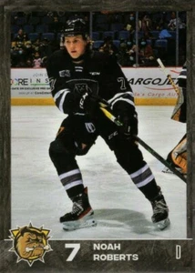 2021/22 Hamilton Bulldogs - NOAH ROBERTS - Picture 1 of 2