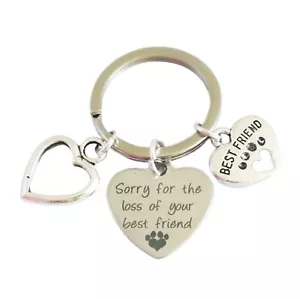 "Sorry for the loss of your best friend" - Memorial Dog Cat Keepsake - Keyring  - Picture 1 of 1