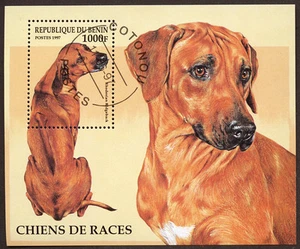 RHODESIAN RIDGEBACK Dog Postage Stamp Souvenir Mini Sheet BENIN - 1997 Used - Picture 1 of 1