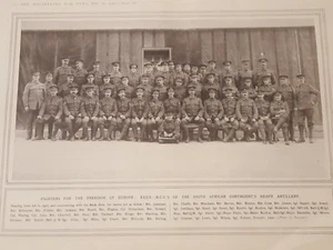 World War One ANTIQUE PRINT NCOs of South African Contingent's Heavy Artillery - Picture 1 of 1