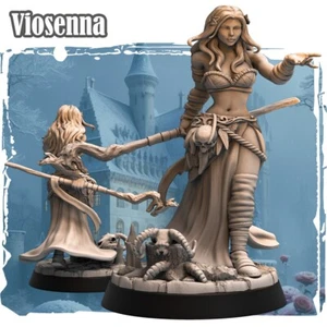 Dungeons & Dragons Playable Character Female Human - Viosenna - Sorcerer, Wizard - Picture 1 of 1