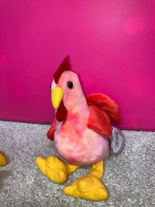 TY Beanie Baby - STRUT - Picture 1 of 2