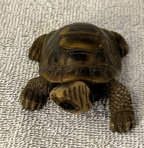 Schildkröte Figur Statue Resin �� - Bild 1 von 9