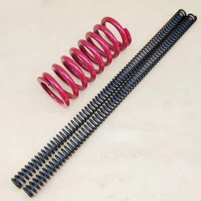 Motion Heavy Duty Front Fork Spring & Rear Spring Kit for Yamaha TTR125 2000-04  - Image 1 of 4