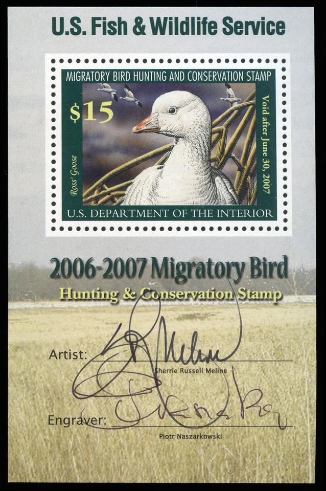 RW73bv  — Dual signatures, PSE Certificate Superb 98 NH - Image 1 of 1