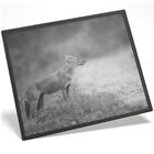 Placemat Mousemat 8x10 BW - Cute Monsoon Dhole Fox Dog  #39279