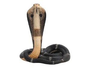 Coiled and Rearing King Cobra Statue Sculpture Home Decor - Picture 1 of 6