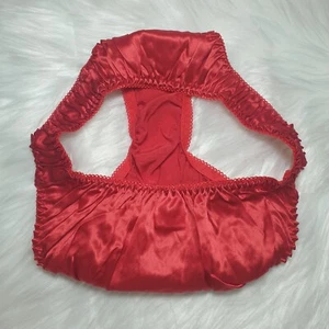 Vintage Shiny Red Panty 100% Silk Hi Leg Brief Sissy Thong Size Small Hip 30-35" - Picture 1 of 9